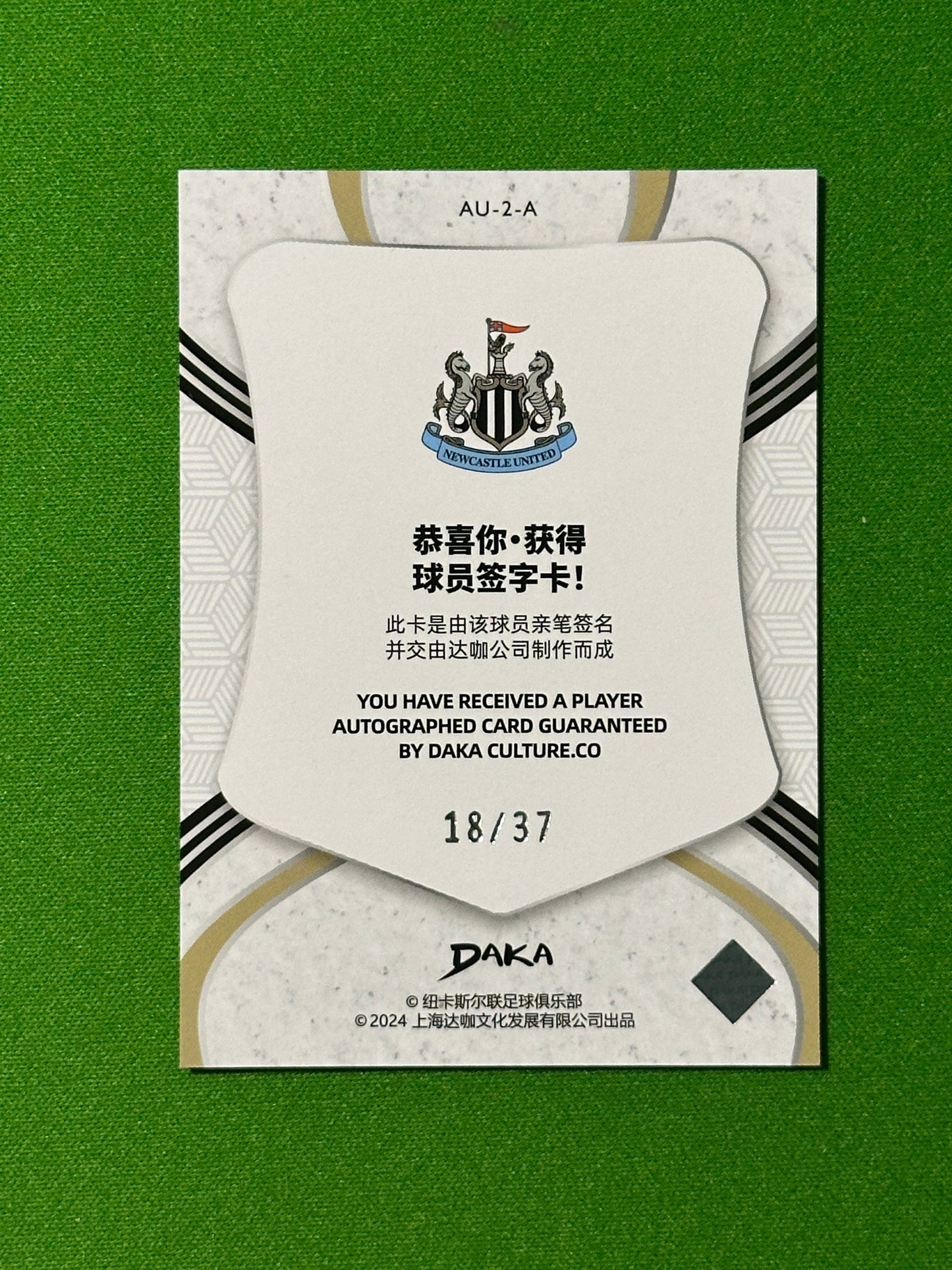 Alexander Isak Autograph 18/37 - DAKA Newcastle 2023-24