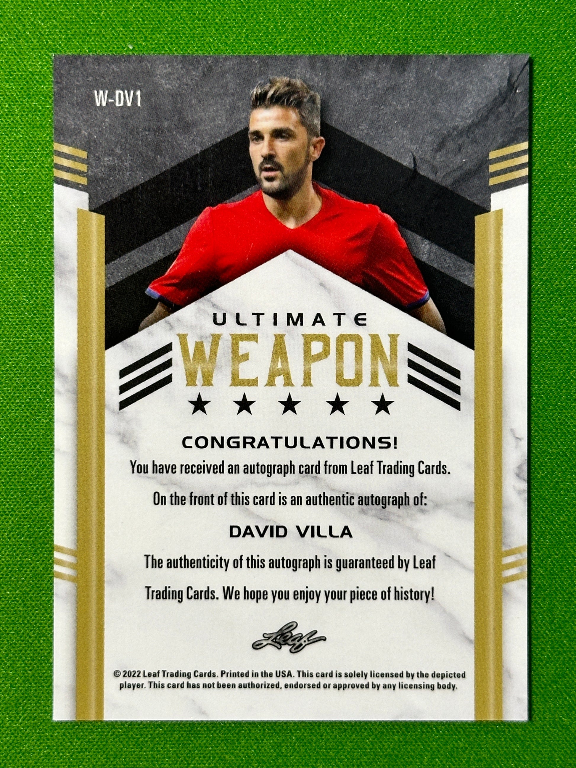 David Villa Autograph 1/3 - Leaf Ultimate Soccer 2022 Back