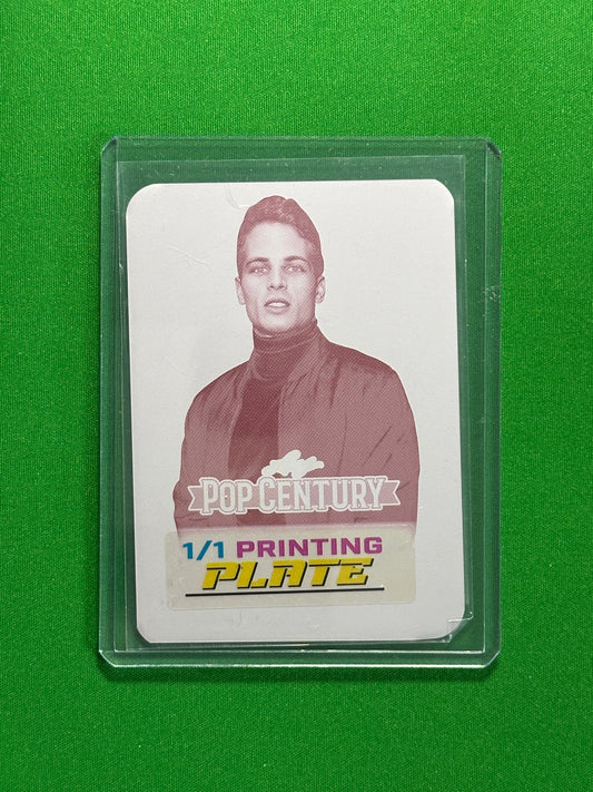 Gianni Paolo Printing Plate 1/1 Magenta - Leaf Pop Century 2025