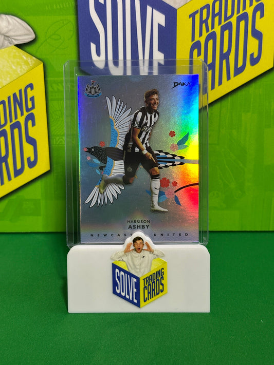 Harrison Ashby 04/49 - DAKA Newcastle 2023-24