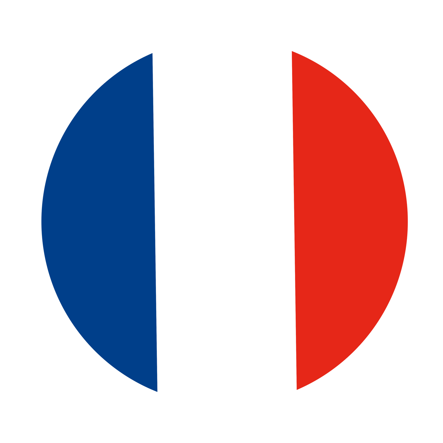 France badge
