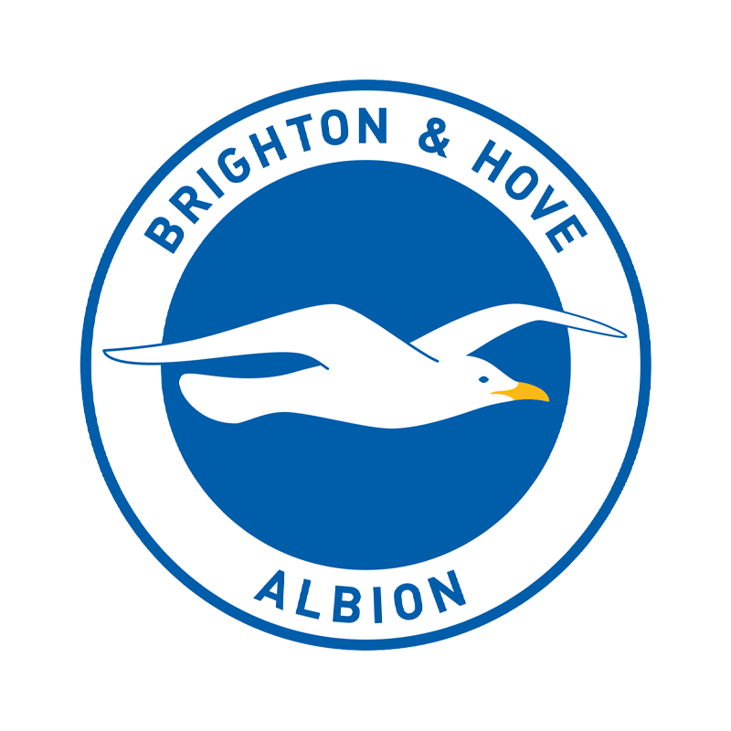 Brighton & Hove Albion badge