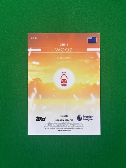 Chris Wood Flying the Flag Blue 042/150 — back
