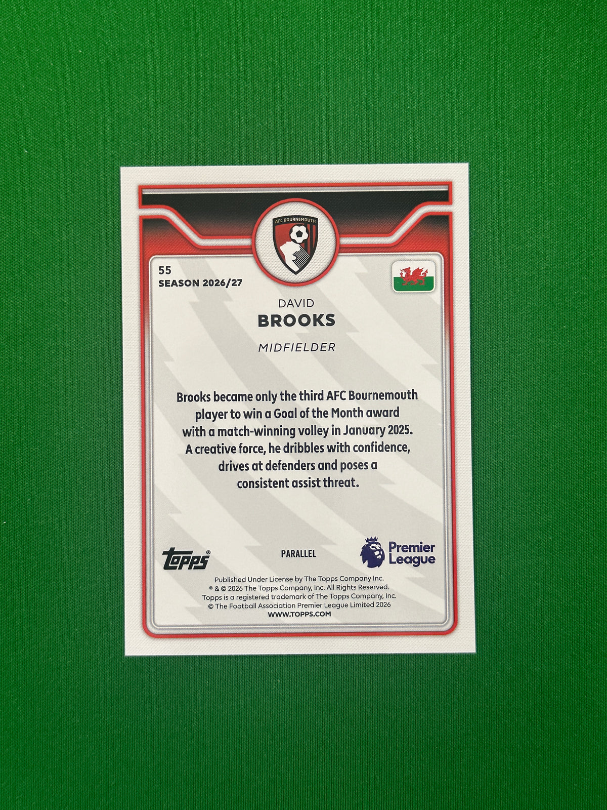 David Brooks Green 67/99 — back