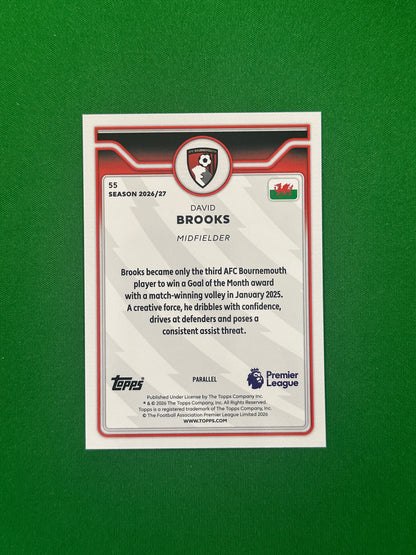David Brooks Green 67/99 — back