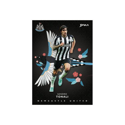 DAKA Newcastle United 2023-24 Hobby Box Case (10 x Boxes)