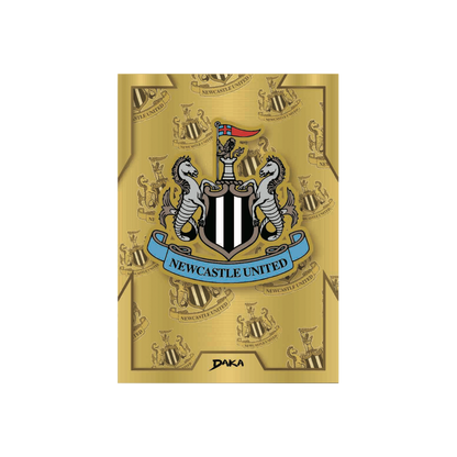 DAKA Newcastle United 2023-24 Hobby Box Case (10 x Boxes)