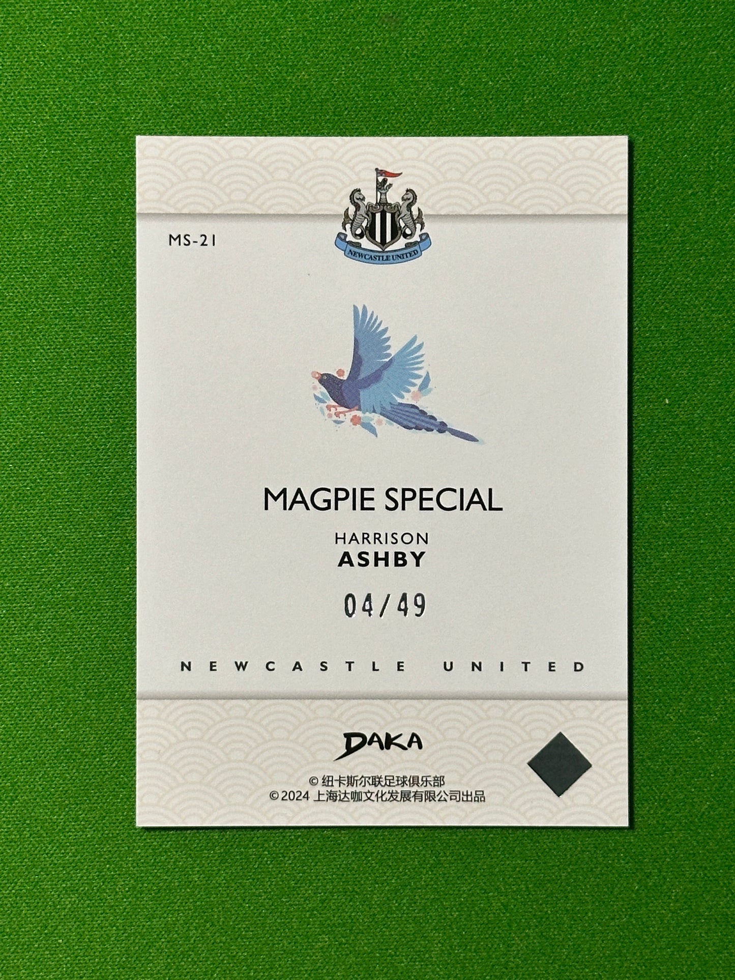 Harrison Ashby 04/49 - DAKA Newcastle 2023-24