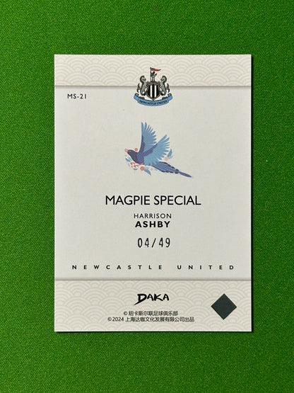 Harrison Ashby 04/49 - DAKA Newcastle 2023-24