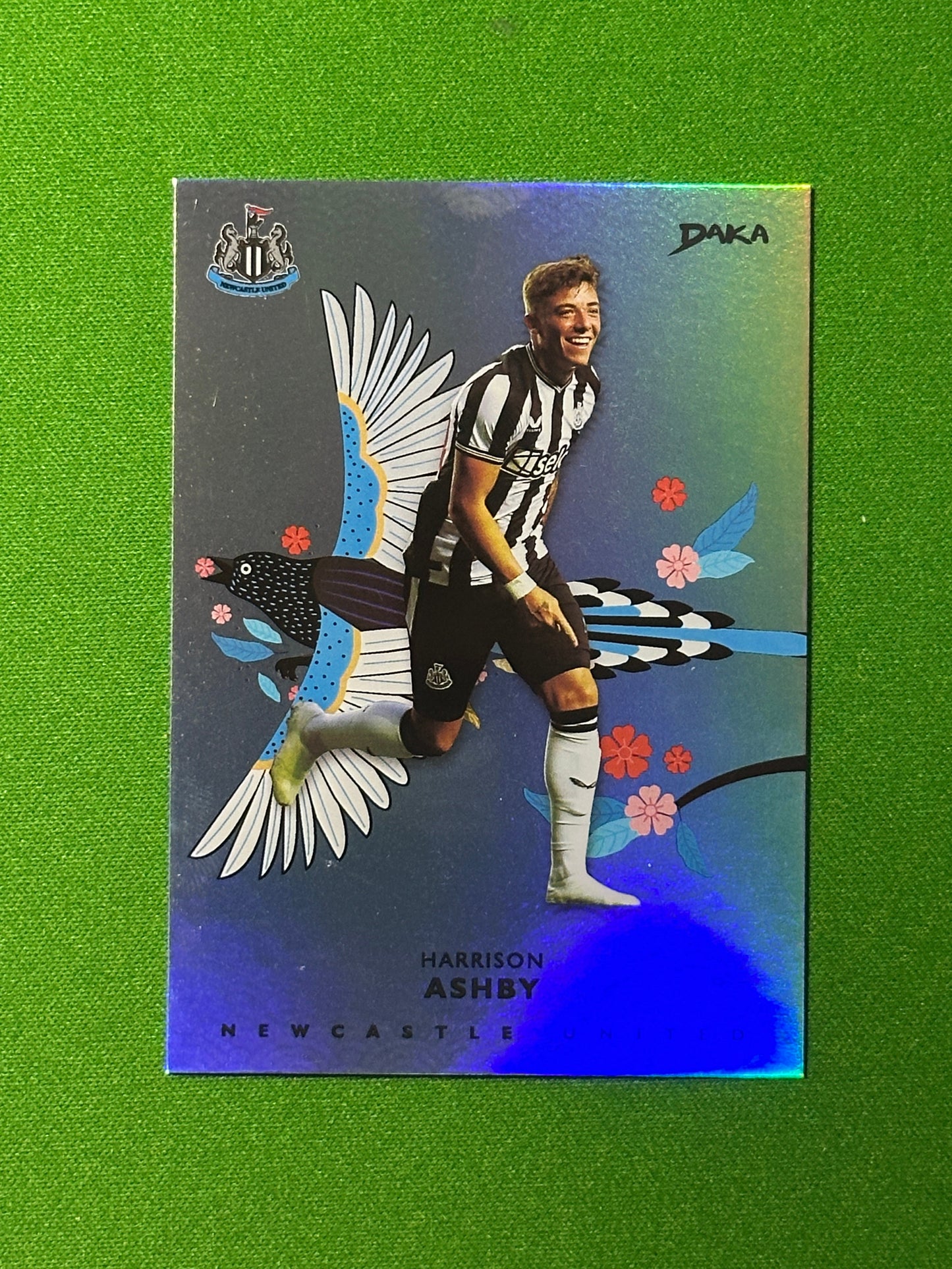 Harrison Ashby 04/49 - DAKA Newcastle 2023-24