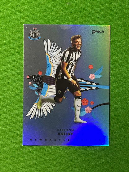 Harrison Ashby 04/49 - DAKA Newcastle 2023-24